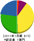 小幡電気工業 貸借対照表 2011年1月期