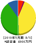 藤川建設 貸借対照表 2010年5月期