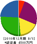 細山工業所 貸借対照表 2010年12月期