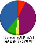 芦原造園 貸借対照表 2010年10月期