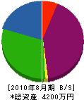 岸田興産 貸借対照表 2010年8月期