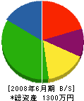 増永畳店 貸借対照表 2008年6月期