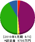 ヒダカ 貸借対照表 2010年6月期