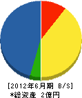 九州電通建設 貸借対照表 2012年6月期