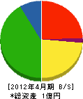 塚元木工 貸借対照表 2012年4月期