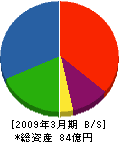 片山組 貸借対照表 2009年3月期