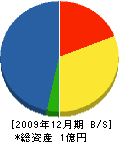 山本組 貸借対照表 2009年12月期