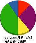 片岡久工務店 貸借対照表 2012年5月期
