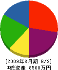稲垣工務店 貸借対照表 2009年3月期