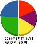 石川組 貸借対照表 2010年3月期
