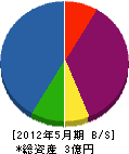 津田工業 貸借対照表 2012年5月期