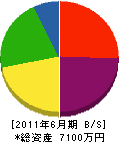橋本塗装 貸借対照表 2011年6月期