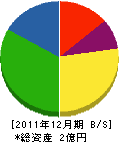 八洲道路 貸借対照表 2011年12月期
