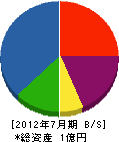 小山田建設 貸借対照表 2012年7月期