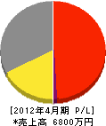 阪神ケミカル 損益計算書 2012年4月期