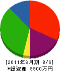 手塚設備 貸借対照表 2011年6月期