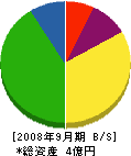仙波水道工業 貸借対照表 2008年9月期