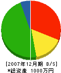 東紀電工 貸借対照表 2007年12月期