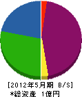 桜井組 貸借対照表 2012年5月期