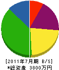川野電機 貸借対照表 2011年7月期