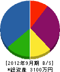 井長グリーン産業 貸借対照表 2012年9月期