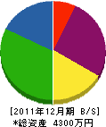 小川 貸借対照表 2011年12月期