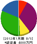 西川インテリア 貸借対照表 2012年1月期