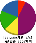 田中電気商会 貸借対照表 2012年9月期