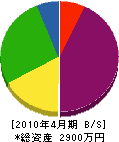 大塚塗装 貸借対照表 2010年4月期