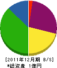 櫻井組 貸借対照表 2011年12月期