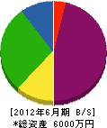 菊川設備工業 貸借対照表 2012年6月期