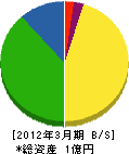 長谷川塗装 貸借対照表 2012年3月期