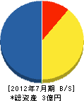 永井設備商会 貸借対照表 2012年7月期