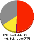 矢野商会 損益計算書 2009年6月期