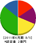 野崎組 貸借対照表 2011年6月期