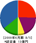 大島応用 貸借対照表 2008年6月期