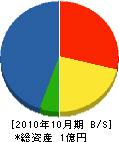 坂井建設 貸借対照表 2010年10月期
