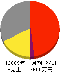 埼玉小川産業 損益計算書 2009年11月期