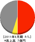日本ピー・シー・テー建設 損益計算書 2011年6月期