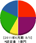 岡田開発工業 貸借対照表 2011年6月期