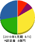 鶴谷秀電社 貸借対照表 2010年6月期