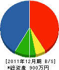 松崎電気工業所 貸借対照表 2011年12月期