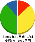 吉田店 貸借対照表 2007年12月期