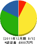 池戸電気商会 貸借対照表 2011年12月期 池戸電気商会 貸借対照表 2011年12月期