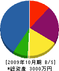 浜田電気商会 貸借対照表 2009年10月期