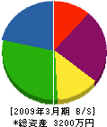 上井ボーリング工業 貸借対照表 2009年3月期