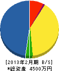 坂東電器 貸借対照表 2013年2月期