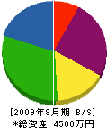 安田塗装 貸借対照表 2009年8月期