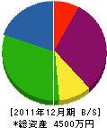 永井設備工業所 貸借対照表 2011年12月期
