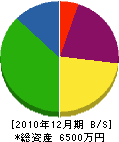 松尾工業 貸借対照表 2010年12月期